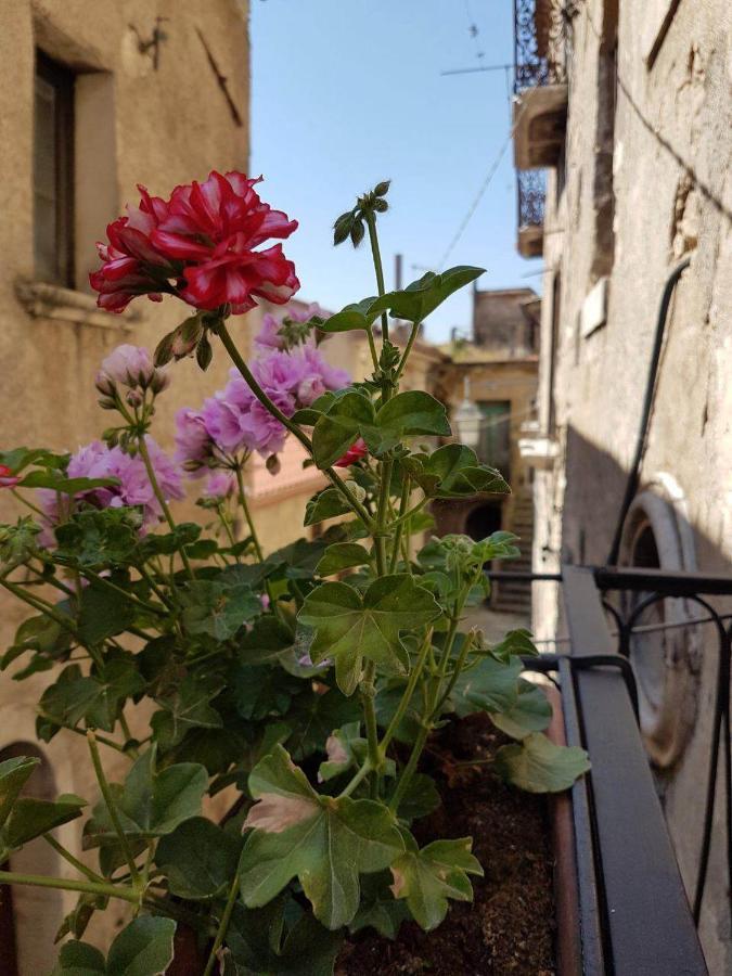 Casa Vacanze Da Mammanonna Taurasi 外观 照片